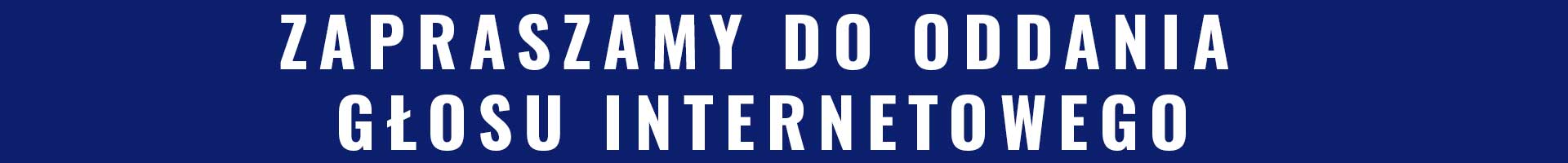 Baner głosuj przez internet